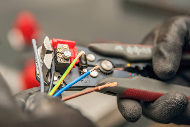 Best Electric Panel Repair  in Agler Beach, FL